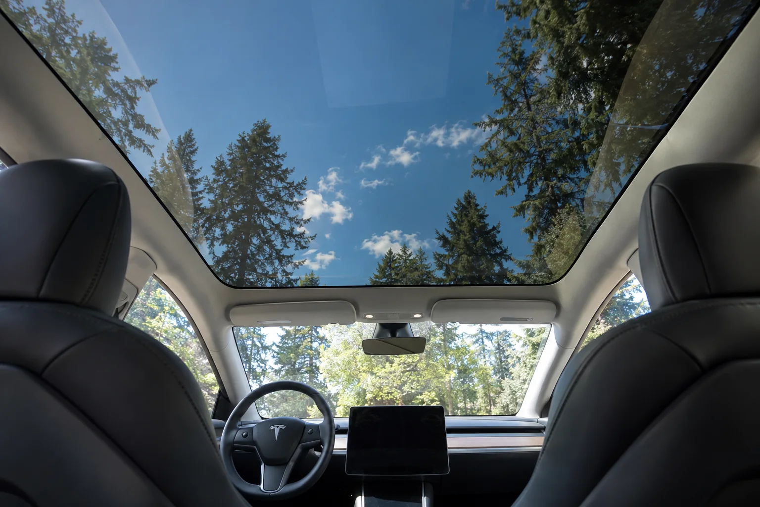 Inside a Tesla Model 3, looking up through the tinted glass roof at the trees